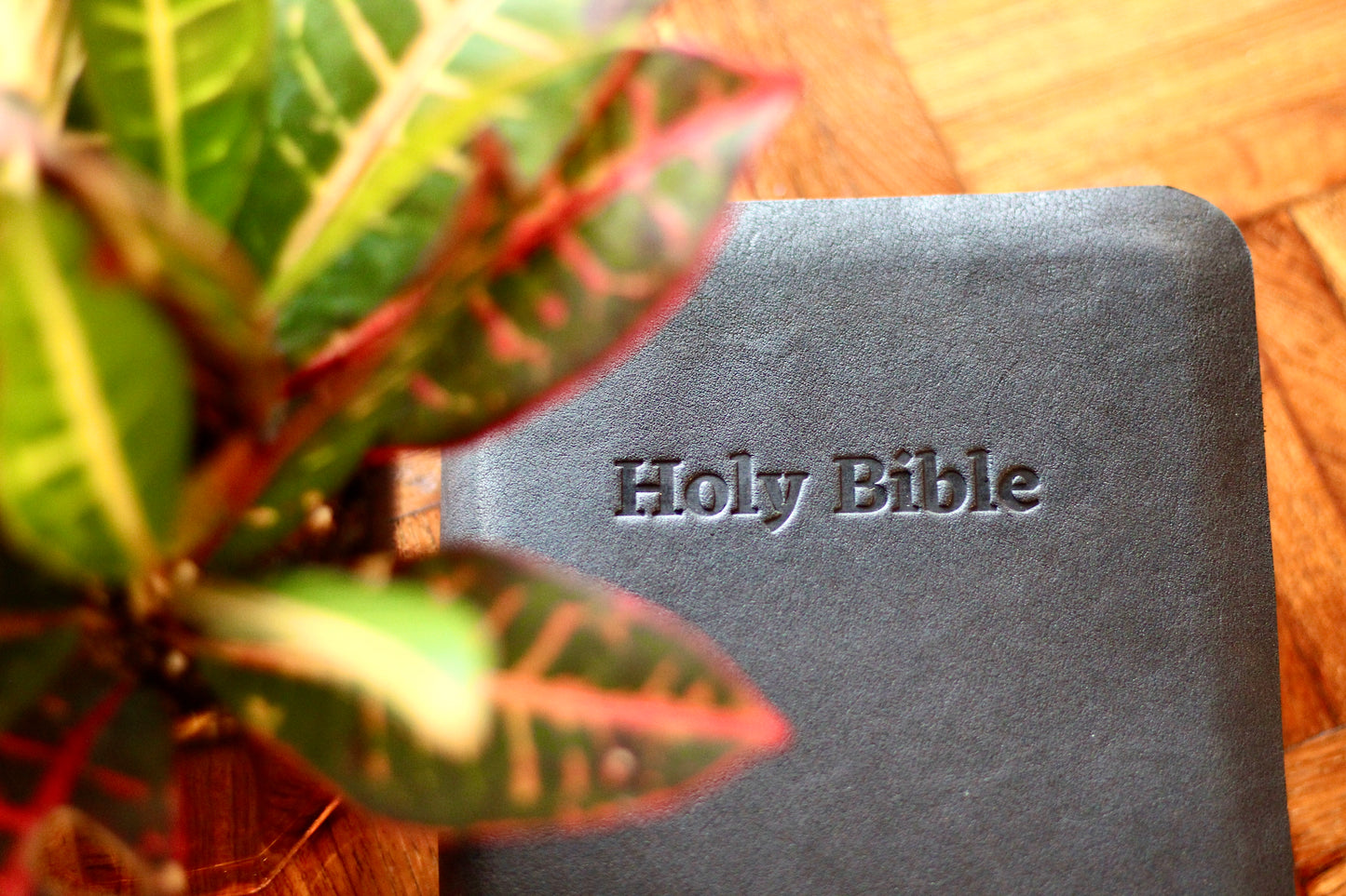 Holy Bible Stamp