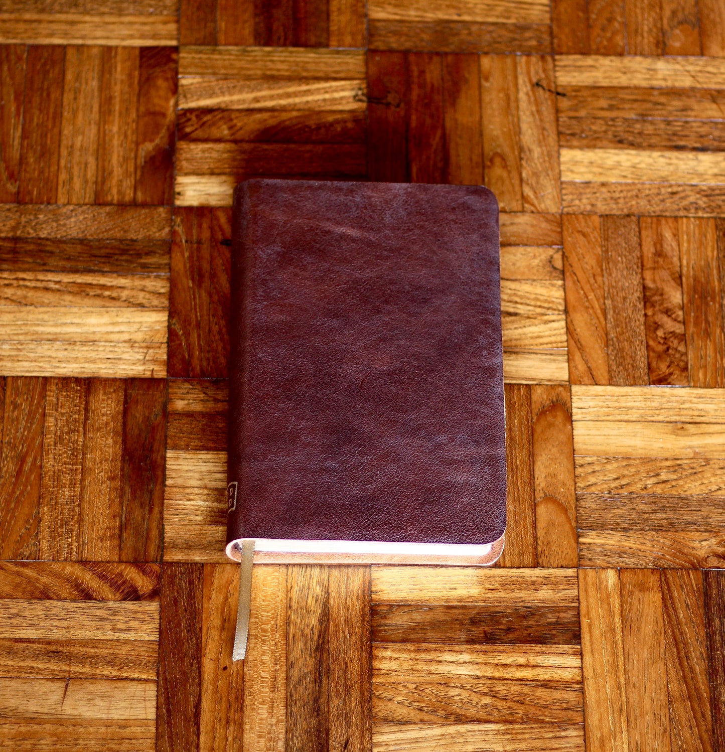 NIV Bible