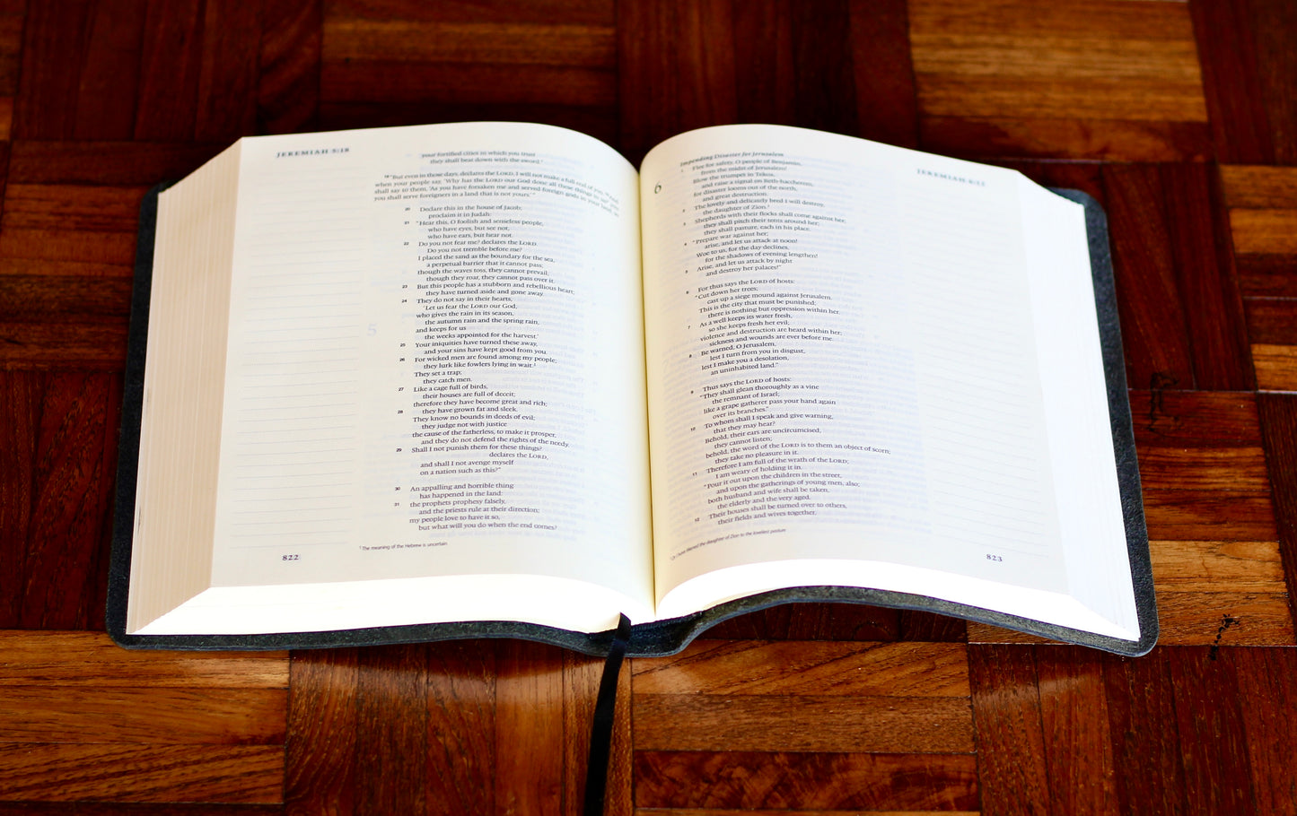 ESV Journaling Bible